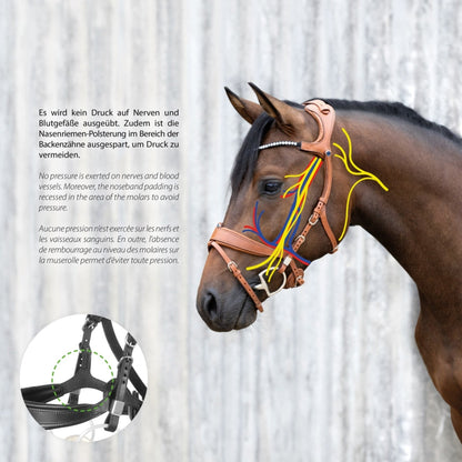 Cabezada Stübben Bridle 2505 Freedom II with Slide&Lock Buckles detalle 8