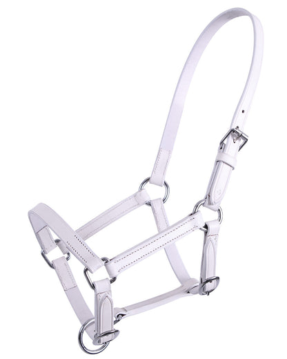Cabezada de cuadra potro head collar cuero Chico QHP para equitación - vista 13