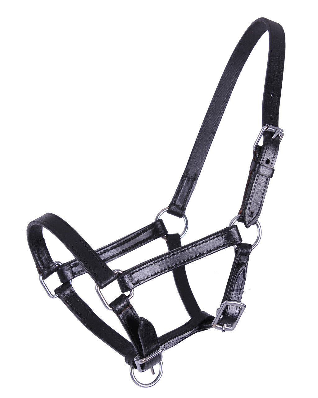 Cabezada de cuadra potro head collar cuero Chico QHP para equitación - vista 10