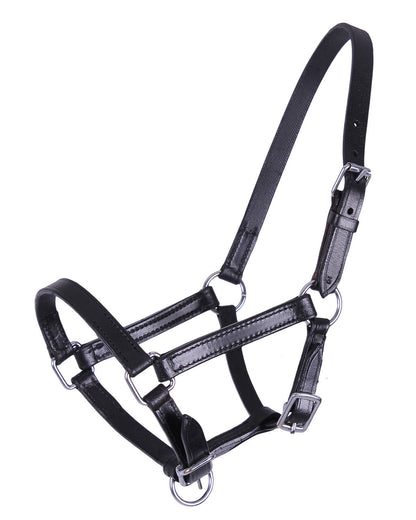 Cabezada de cuadra potro head collar cuero Chico QHP para equitación - vista 23