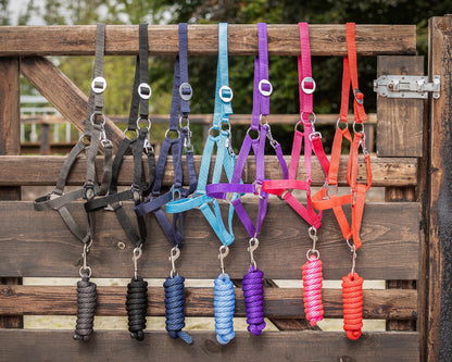 Ramal Lead rope Luxury QHP para equitación - vista 16