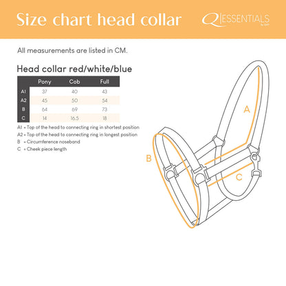 Cabezada de cuadra Head collar Rojo/Blanco/Azul QHP para equitación - vista 5