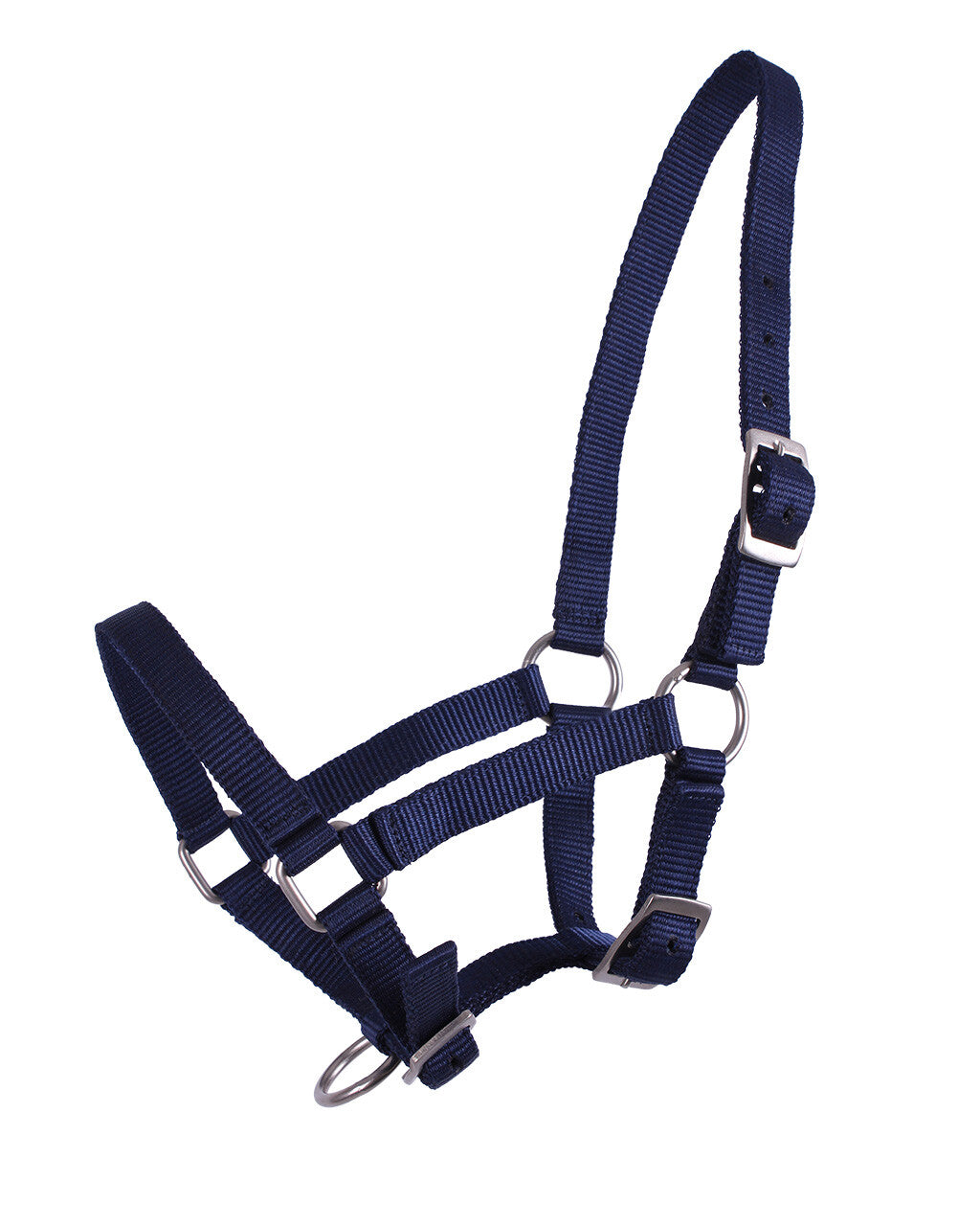 Cabezada de cuadra Head collar potro QHP para equitación - vista 11
