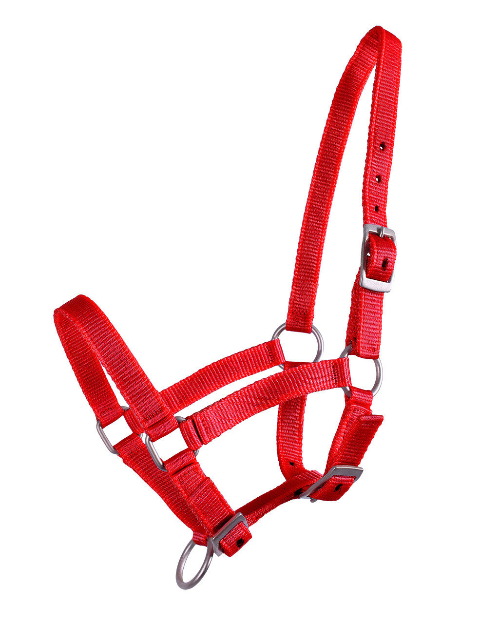 Cabezada de cuadra Head collar potro QHP para equitación - vista 42