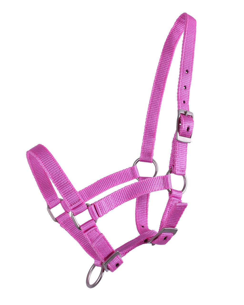 Cabezada de cuadra Head collar potro QHP para equitación - vista 24