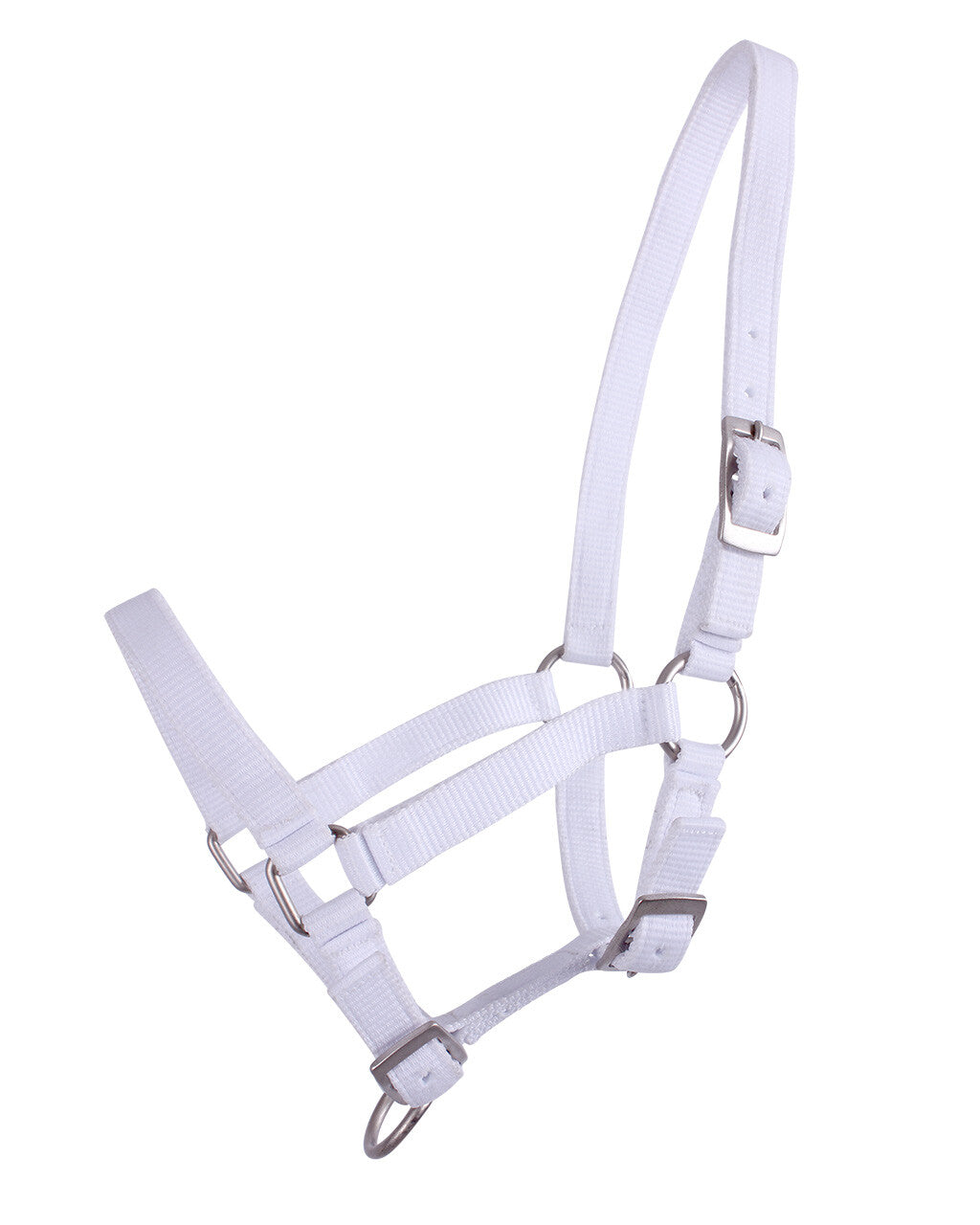 Cabezada de cuadra Head collar potro QHP para equitación - vista 25