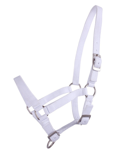 Cabezada de cuadra Head collar potro QHP para equitación - vista 25