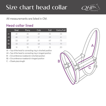 Cabezada de cuadra Head collar Forrado QHP para equitación - vista 3