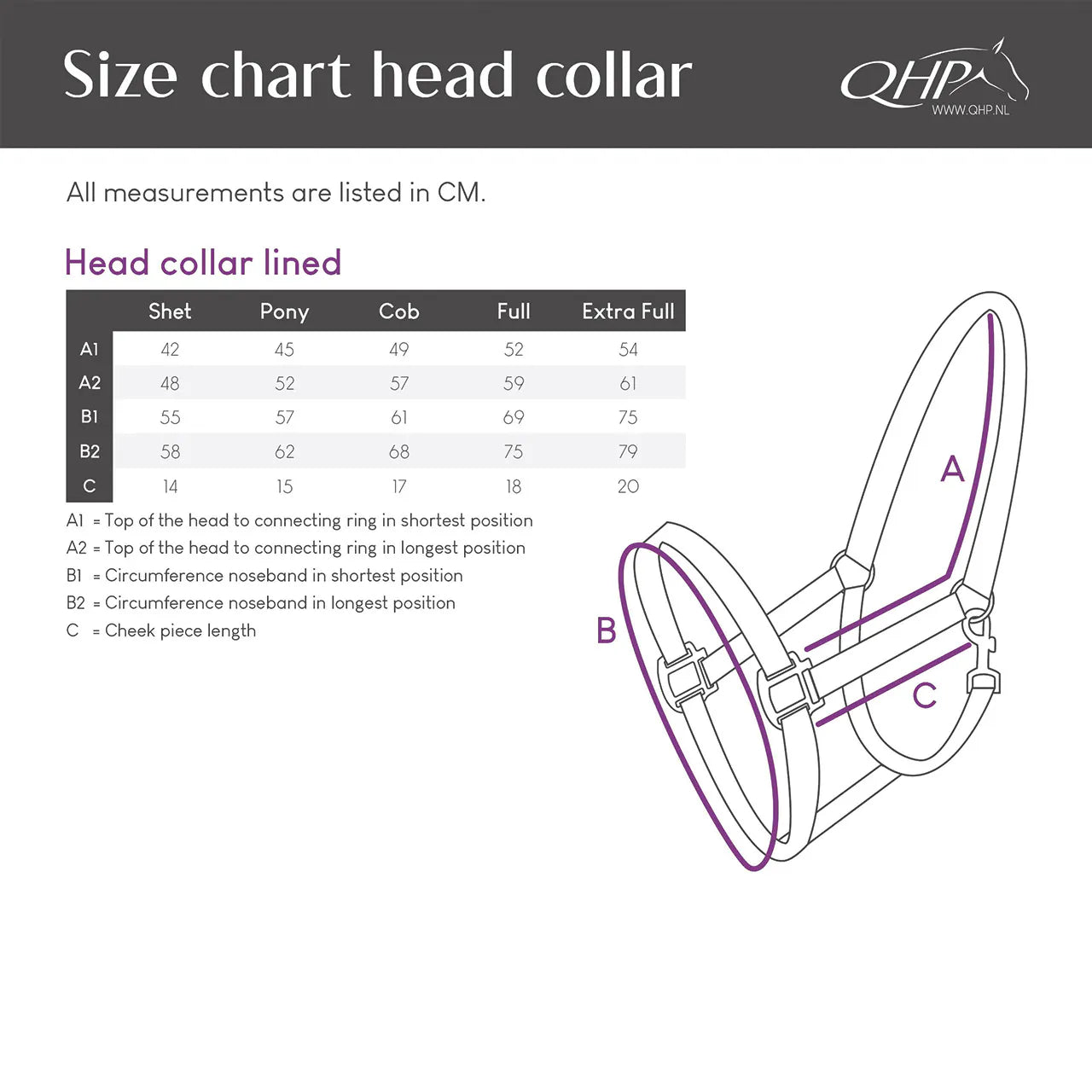 Cabezada de cuadra Head collar Forrado QHP para equitación - vista 4