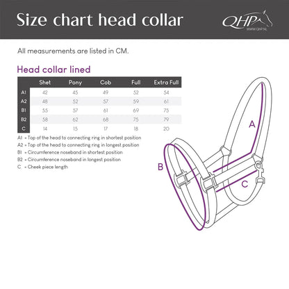 Cabezada de cuadra Head collar Forrado QHP para equitación - vista 4