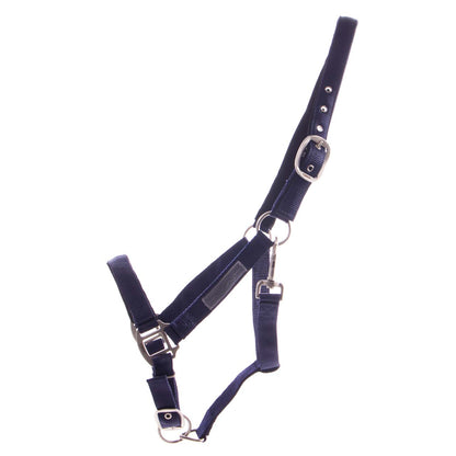 Cabezada de cuadra Head collar Forrado QHP para equitación - vista 5