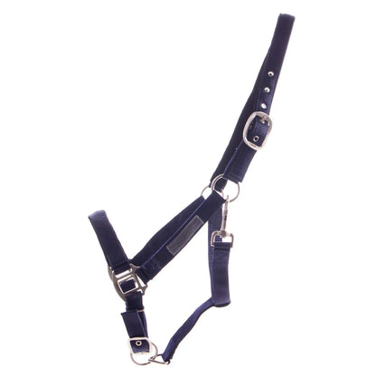 Cabezada de cuadra Head collar Forrado QHP para equitación - vista 6