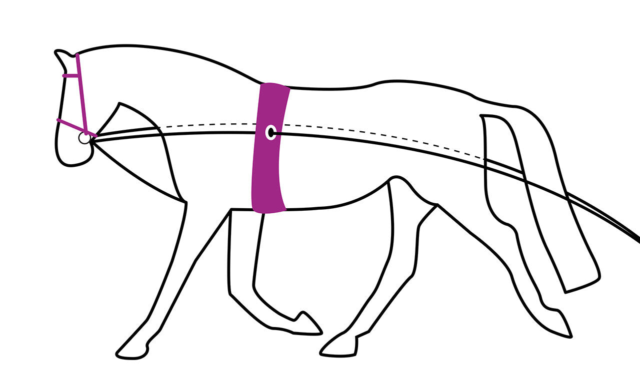 Riendas Lunging rein double QHP para equitación - vista 12