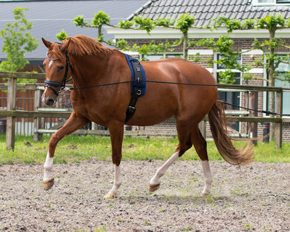 Riendas Lunging rein double QHP para equitación - vista 3
