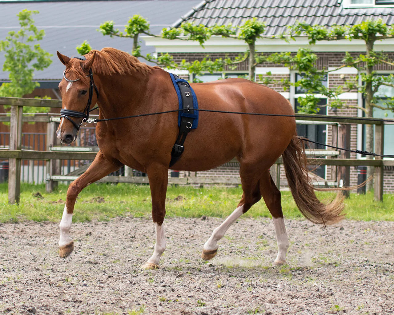 Riendas Lunging rein double QHP para equitación - vista 4