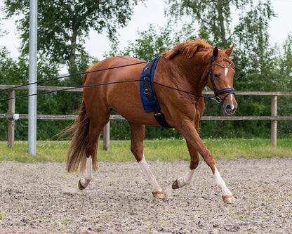 Riendas Lunging rein double QHP para equitación - vista 6