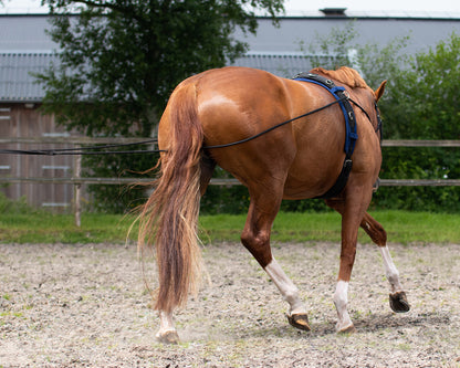 Riendas Lunging rein double QHP para equitación - vista 15