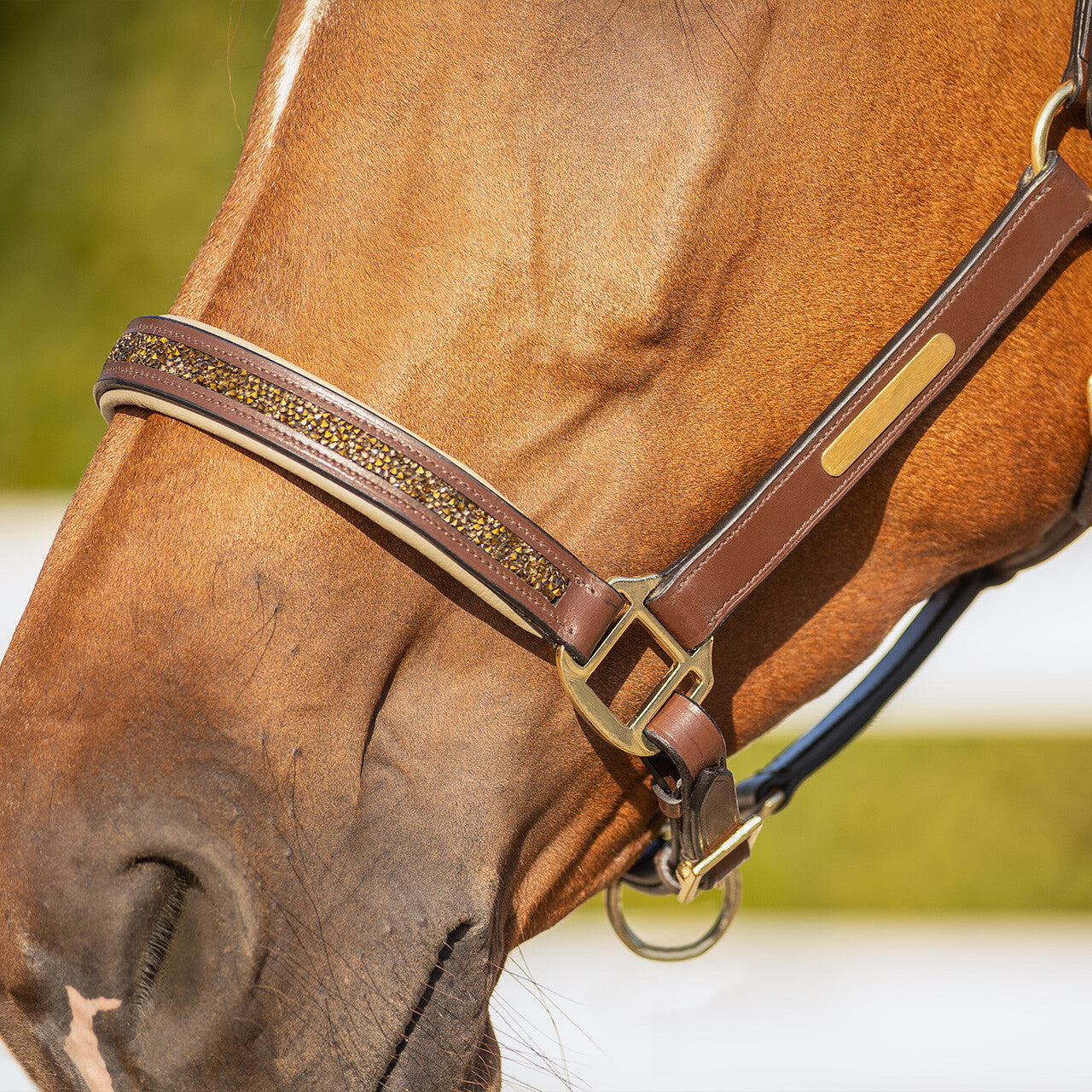 Cabezada de cuadra Head collar cuero Lupine QHP para equitación - vista 12