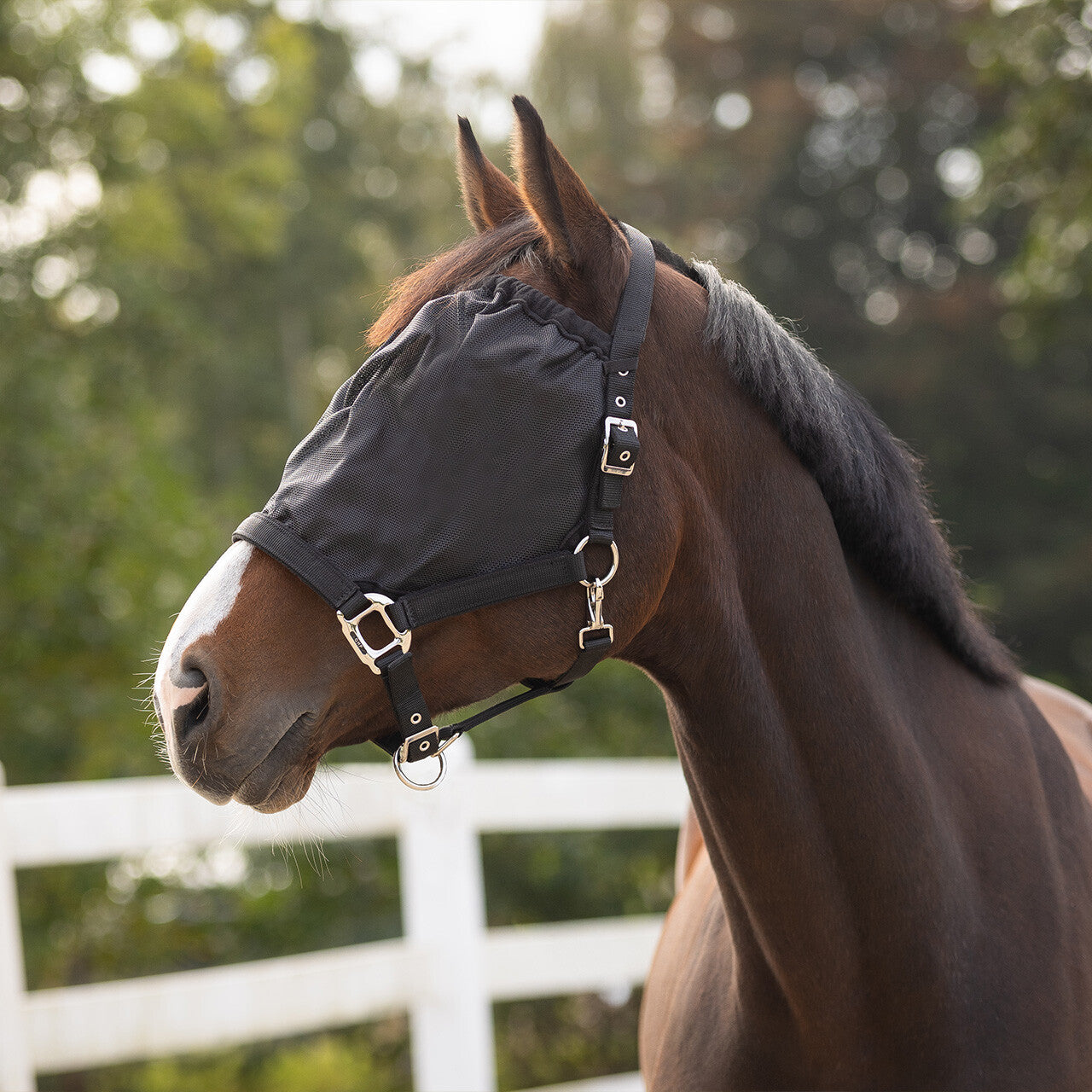 Máscara antimoscas Halter-máscara antimoscas combi QHP para equitación - vista 12