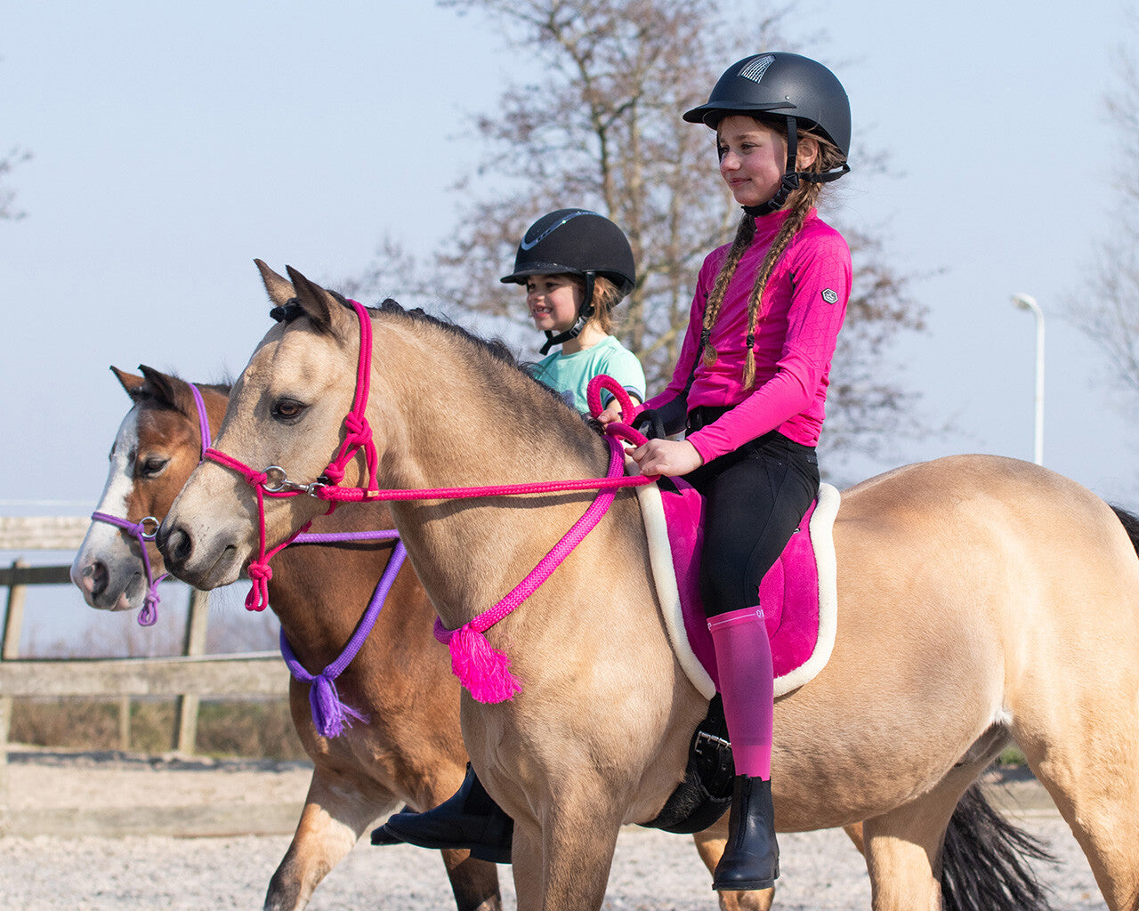 Ramales y cuerdas cordón cervical QHP para equitación - vista 22