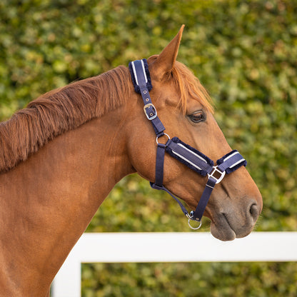 Cabezada de cuadra Head collar set Dolci QHP para equitación - vista 26