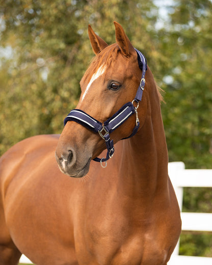 Cabezada de cuadra Head collar set Dolci QHP para equitación - vista 5