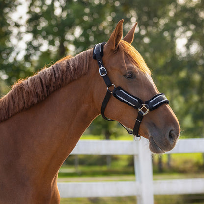 Cabezada de cuadra Head collar set Dolci QHP para equitación - vista 19