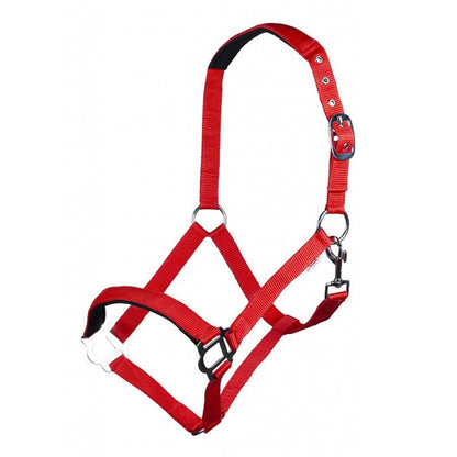Halter HKM Style Head Collar Sydney Style with Soft Padding detalle 6