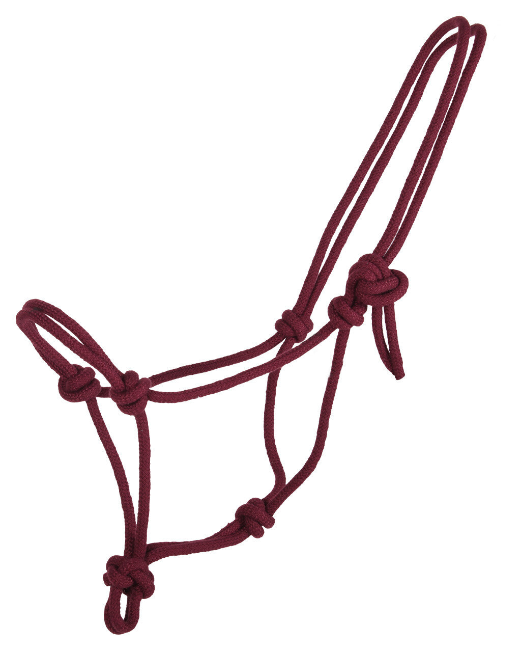 Cabezada de cuadra Rope halter basic QHP para equitación - vista 5