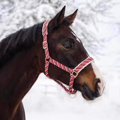 Cabezada de cuadra Head collar Christmas QHP para equitación - vista 8