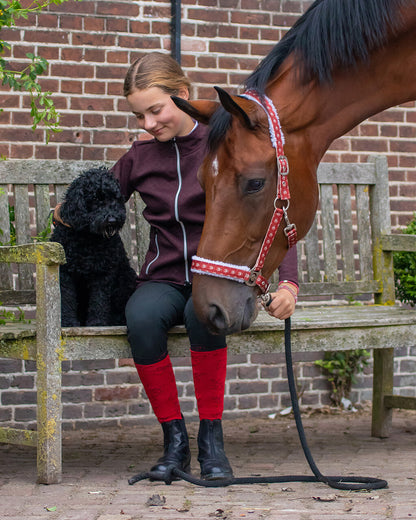 Cabezada de cuadra Head collar Christmas QHP para equitación - vista 13
