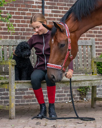 Cabezada de cuadra Head collar Christmas QHP para equitación - vista 14