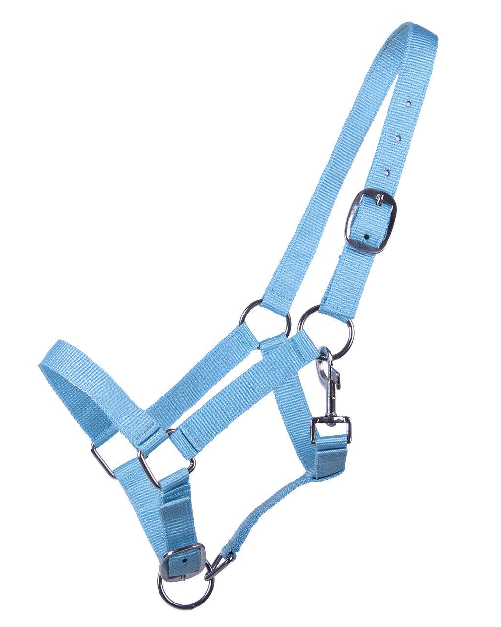 Cabezada de cuadra Head collar potro yearling QHP para equitación - vista 6
