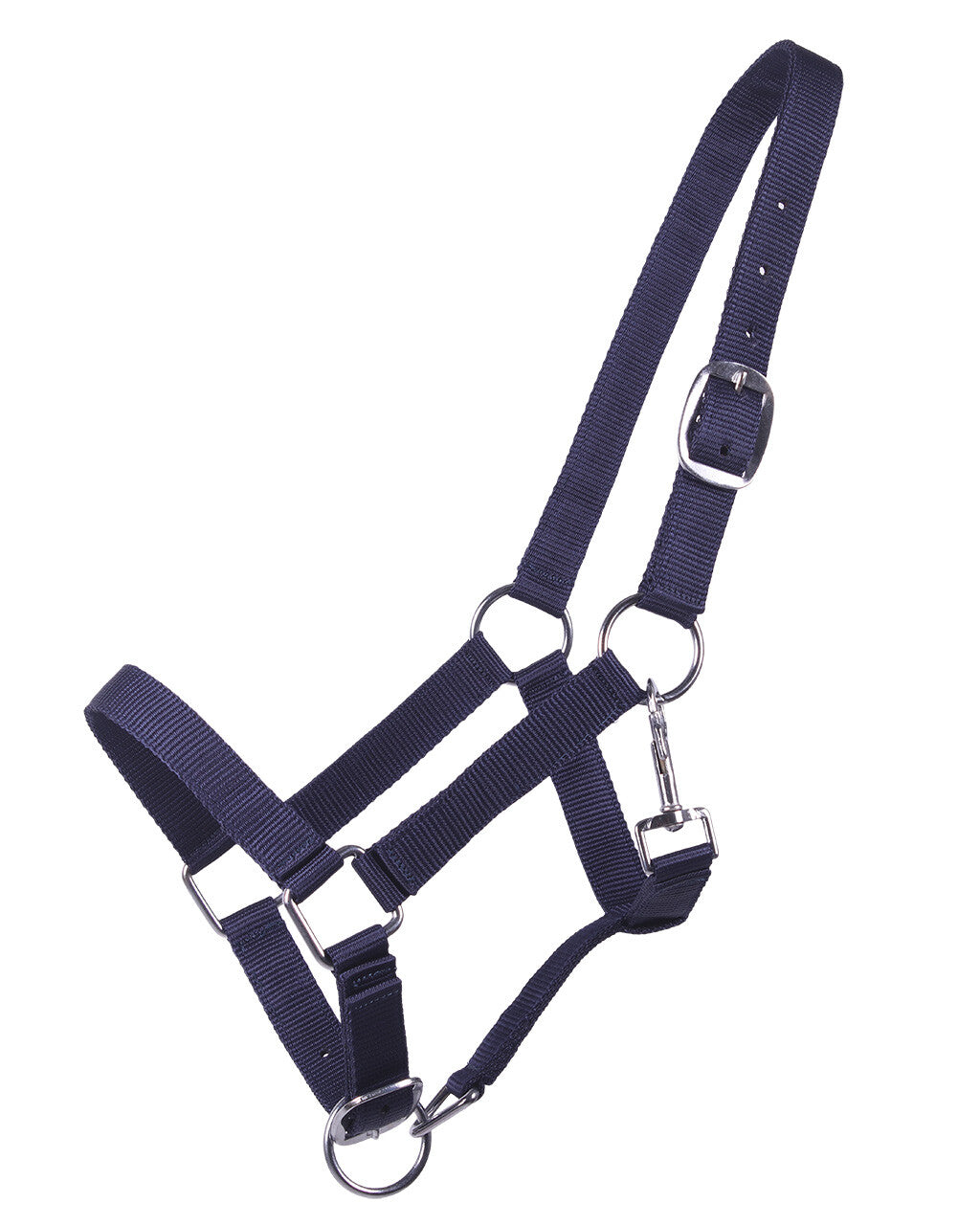 Cabezada de cuadra Head collar potro yearling QHP para equitación - vista 2
