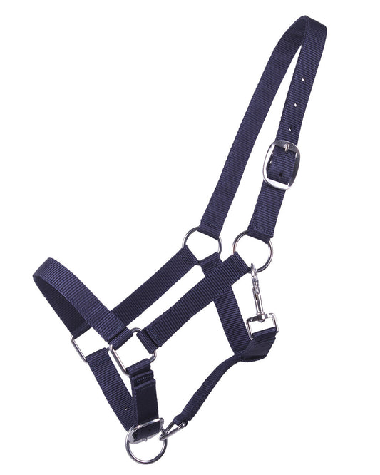 Cabezada de cuadra Head collar potro yearling QHP para equitación - vista 2