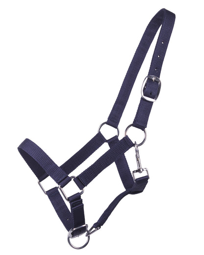 Cabezada de cuadra Head collar potro yearling QHP para equitación - vista 7