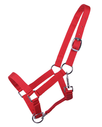 Cabezada de cuadra Head collar potro yearling QHP para equitación - vista 3