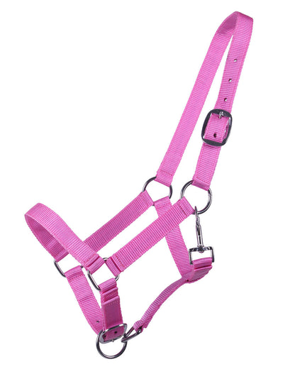 Cabezada de cuadra Head collar potro yearling QHP para equitación - vista 4