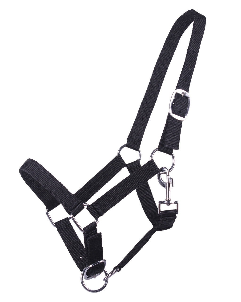 Cabezada de cuadra Head collar potro yearling QHP para equitación - vista 5