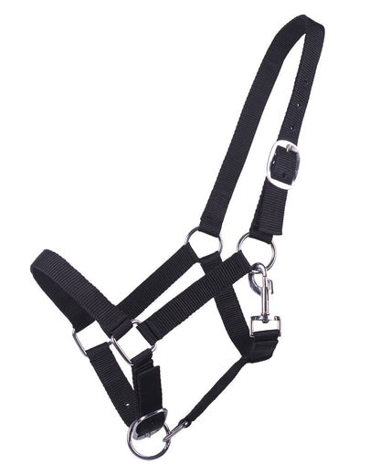 Cabezada de cuadra Head collar potro yearling QHP para equitación - vista 10