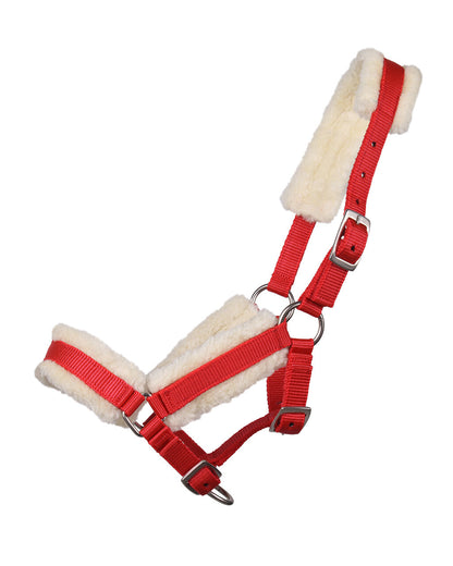 Cabezada de cuadra Head collar potro con fur QHP para equitación - vista 31