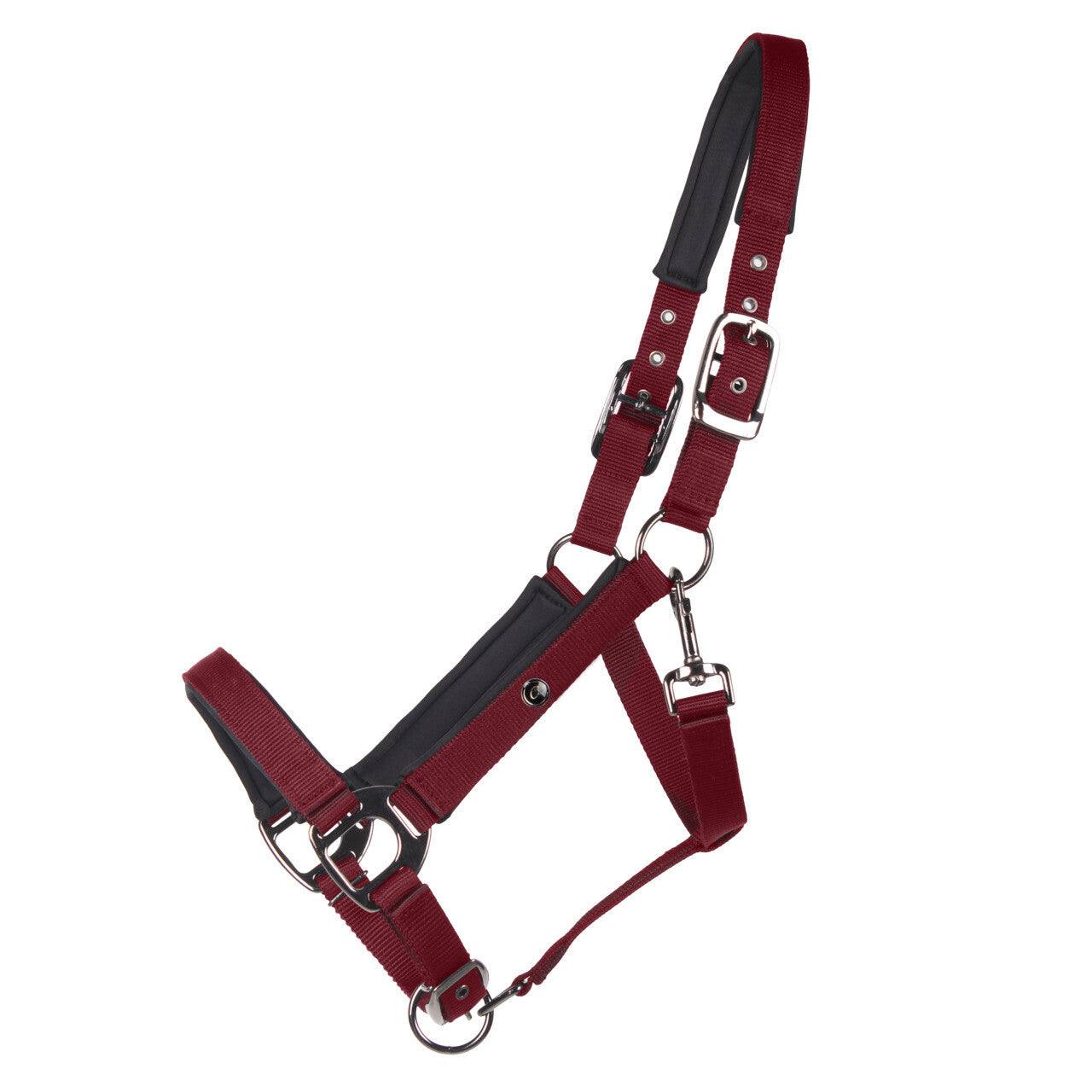 Cabezada de cuadra Head collar Deluxe QHP para equitación - vista 7