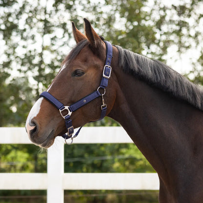 Cabezada de cuadra Head collar Deluxe QHP para equitación - vista 14