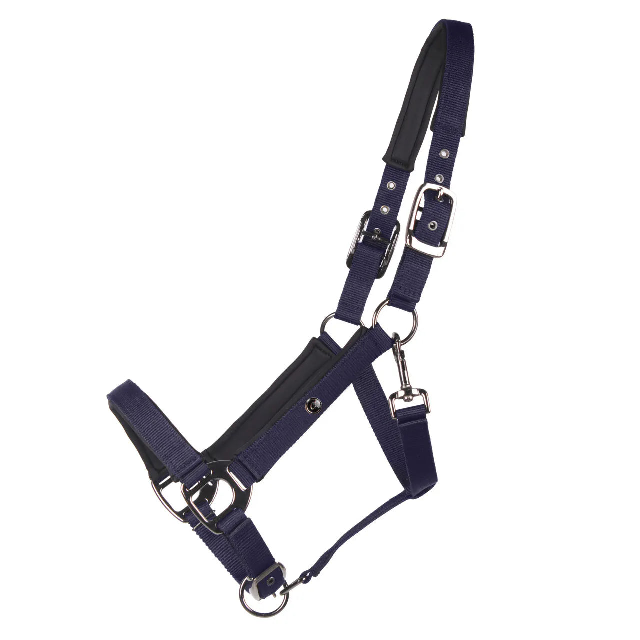 Cabezada de cuadra Head collar Deluxe QHP para equitación - vista 20