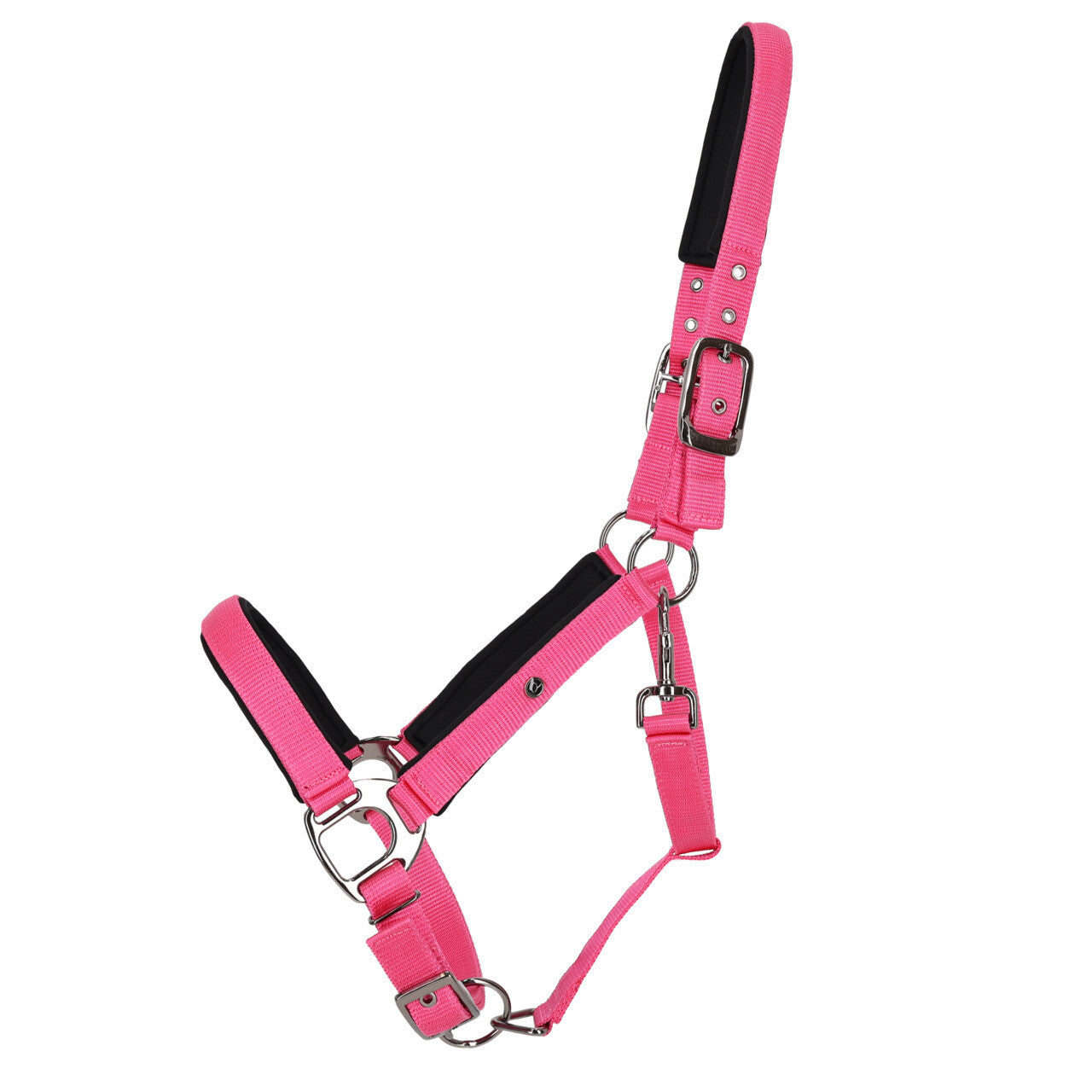 Cabezada de cuadra Head collar Deluxe QHP para equitación - vista 33