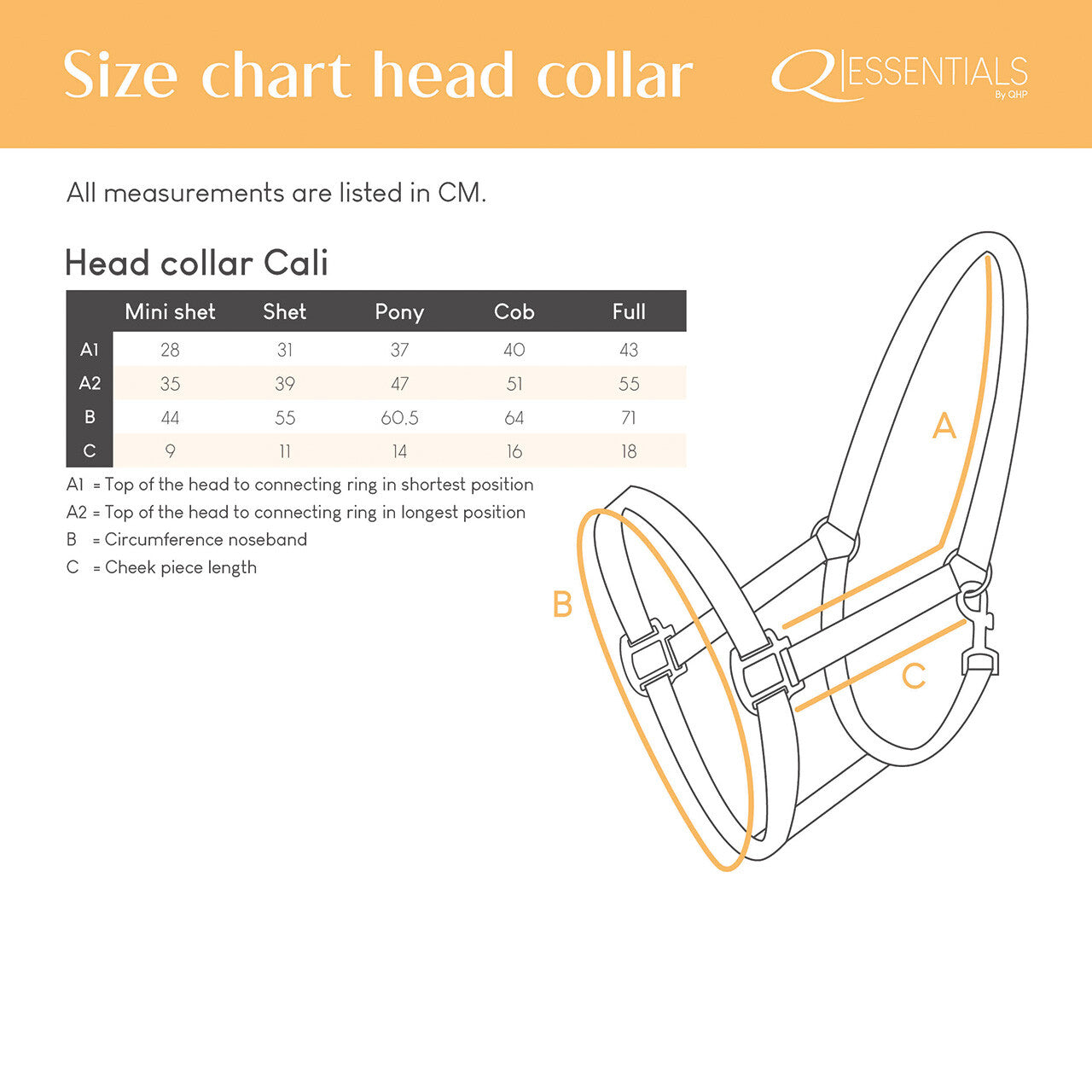 Cabezada de cuadra Head collar Cali QHP para equitación - vista 3