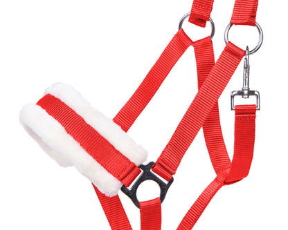 Cabezada de cuadra Head collar Cali QHP para equitación - vista 32