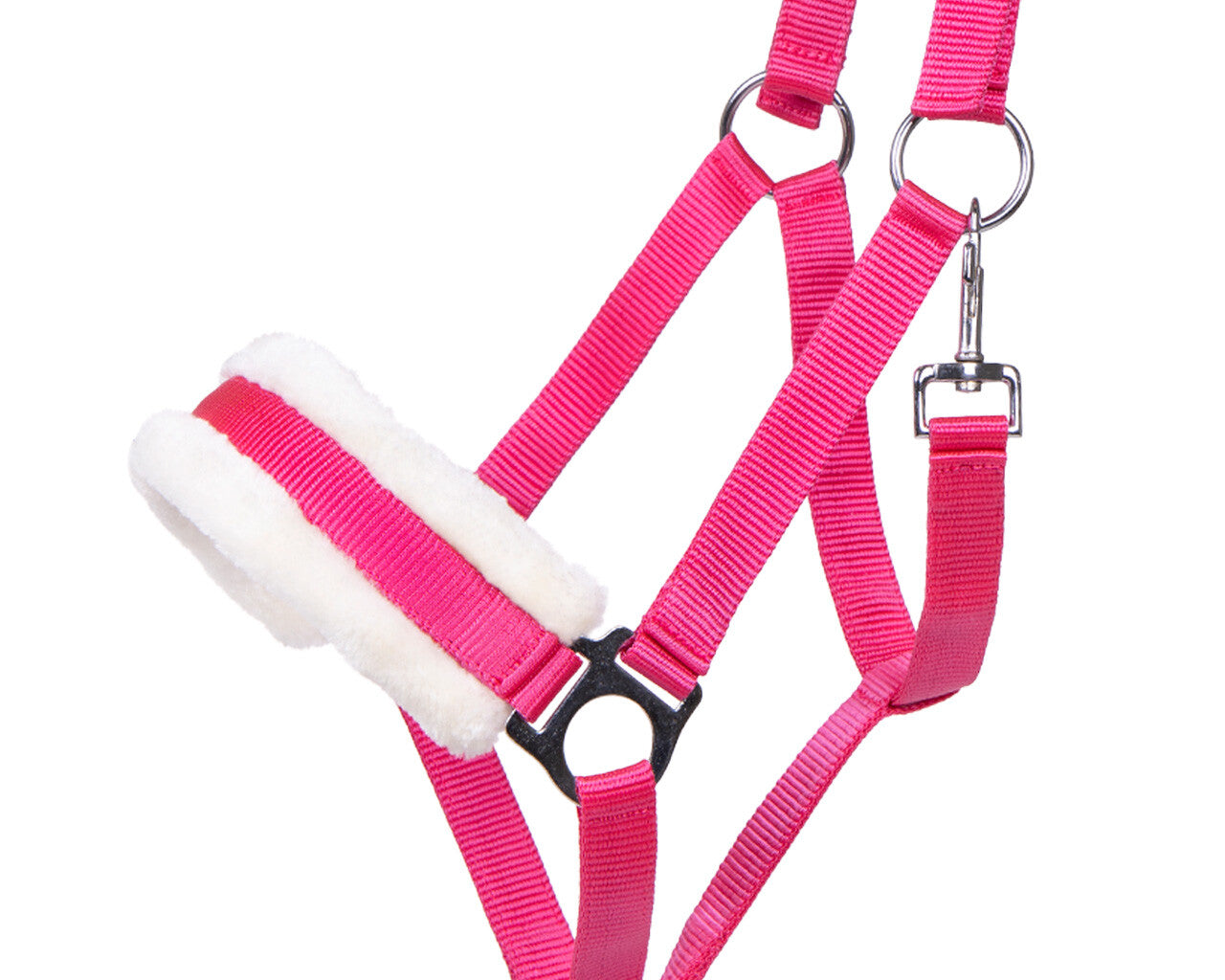 Cabezada de cuadra Head collar Cali QHP para equitación - vista 13