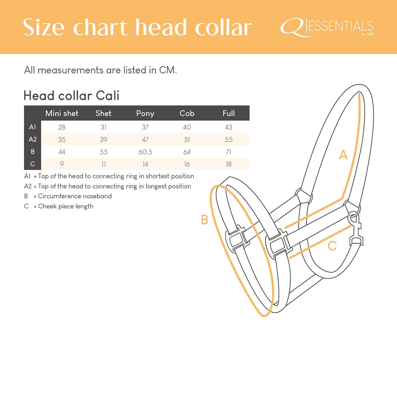 Cabezada de cuadra Head collar Cali QHP para equitación - vista 18