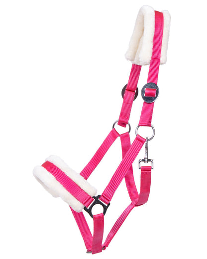 Cabezada de cuadra Head collar Cali QHP para equitación - vista 19